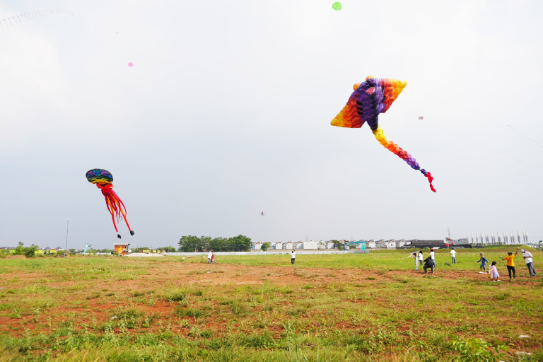 Kite Festival 2023