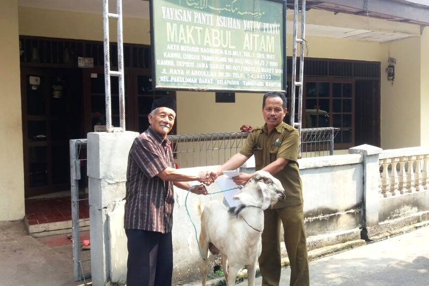 Pembagian Hewan Qurban